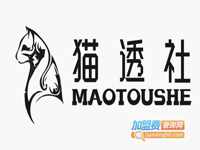 猫透社女装加盟费
