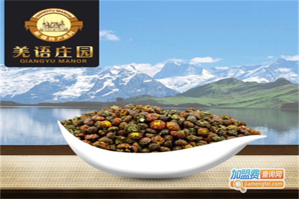 羌语庄园休闲食品加盟