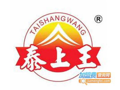 泰上王休闲食品加盟电话