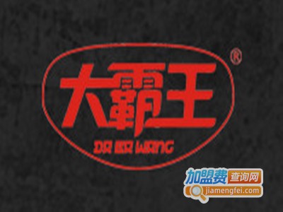 大霸王休闲食品加盟电话