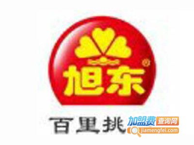 旭东休闲食品加盟电话
