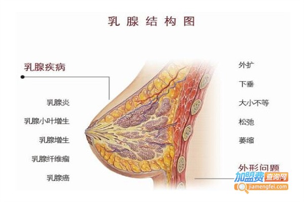 中医乳腺理疗中心加盟