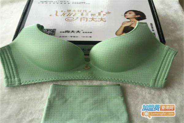 向大大内衣代理