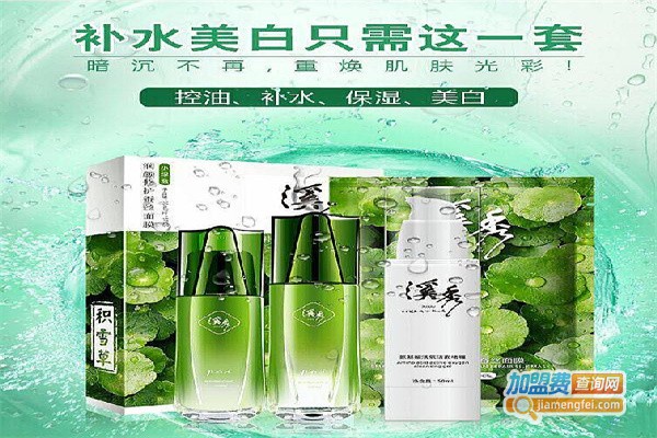 溪秀护肤品代理