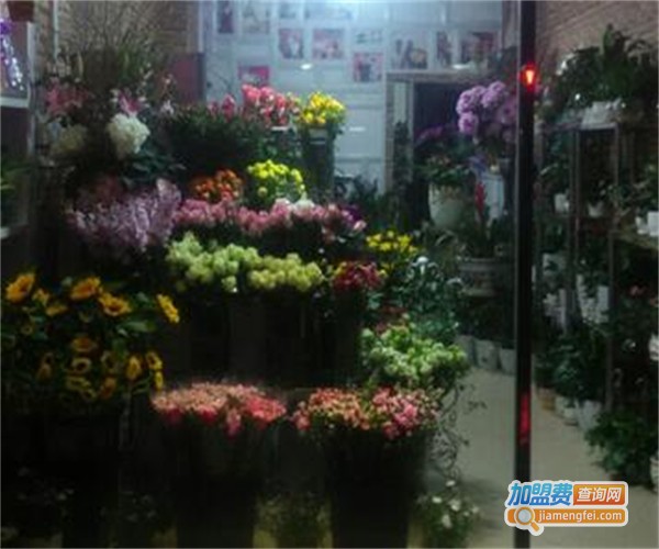 花仙女鲜花店加盟