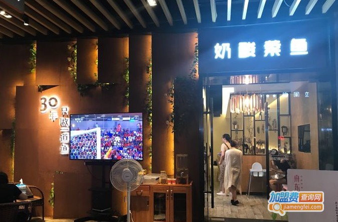 舟东奶酸菜鱼加盟费