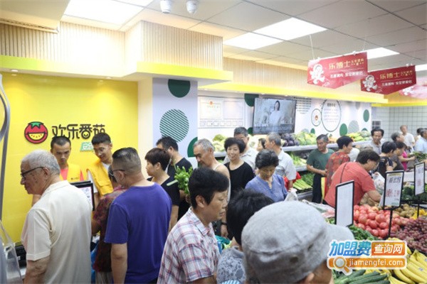 欢乐蕃茄生鲜加盟