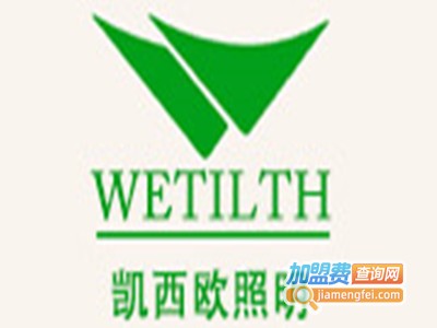 凯西欧照明加盟费