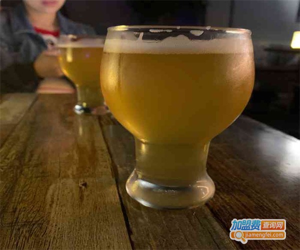 索麦尔精酿啤酒加盟费