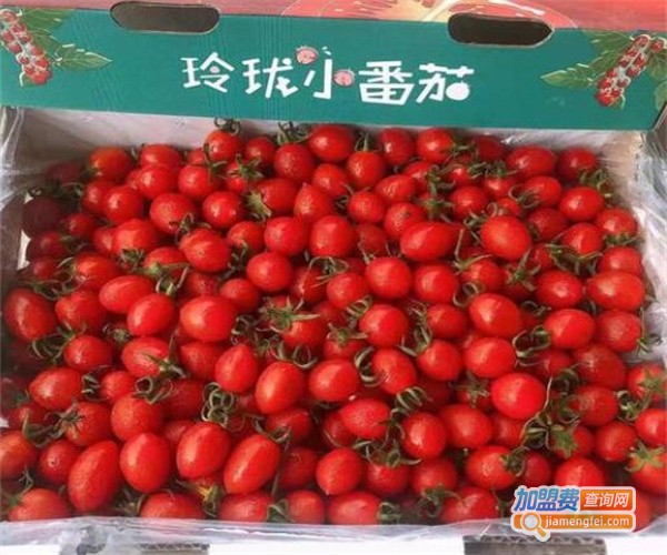 果尚坊水果店加盟费