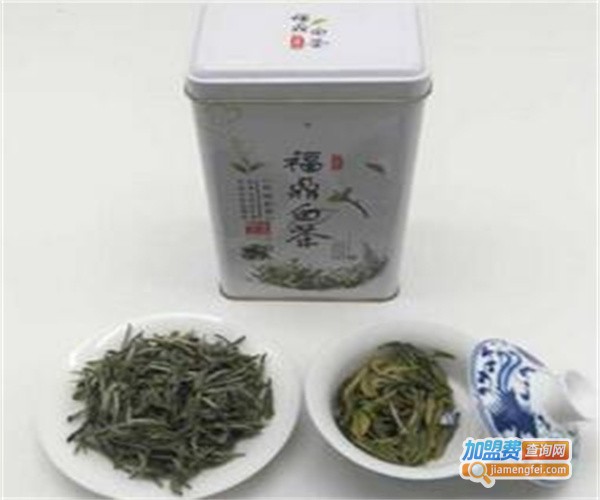 今世缘茶行加盟费