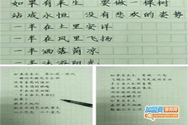 字立方练字加盟
