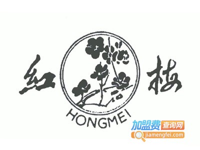 红梅牛奶加盟