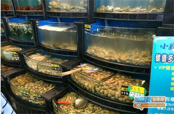 小媳妇海鲜加盟费