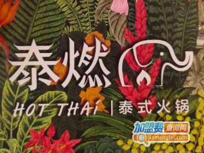 泰燃HotThai泰式海鲜火锅加盟