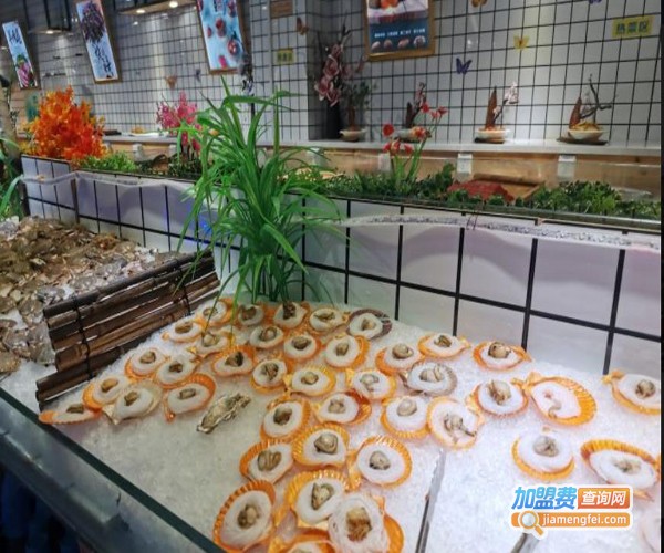 金运旺海鲜自助烤肉火锅加盟费