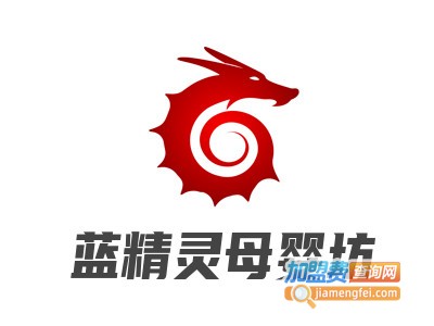 蓝精灵母婴坊加盟电话