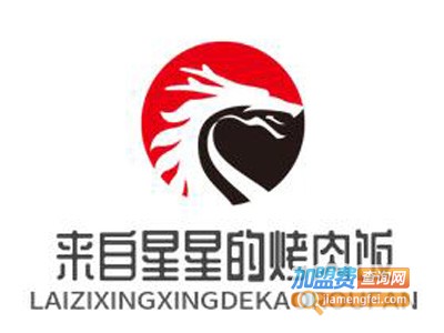来自星星的烤肉饭
