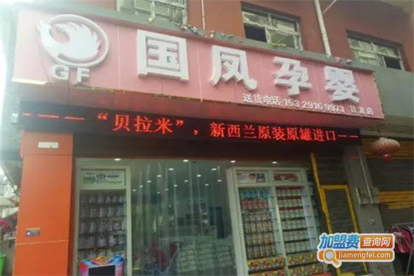 国凤母婴加盟费
