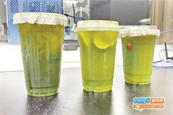 手打柠檬加盟费