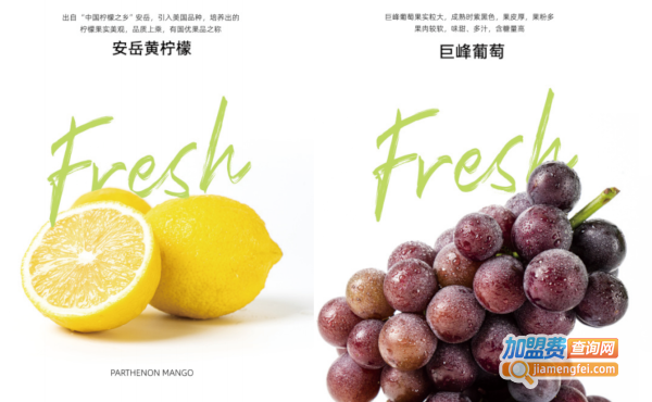 新时沏快乐中国茶加盟费