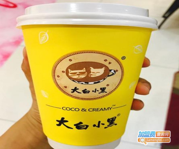 大白小黑cococreamy加盟费