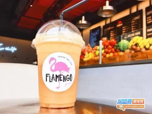 flamengo juice火鸟果汁加盟费