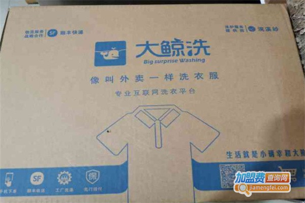 大鲸洗干洗加盟费
