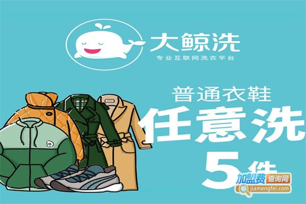 大鲸洗干洗加盟费