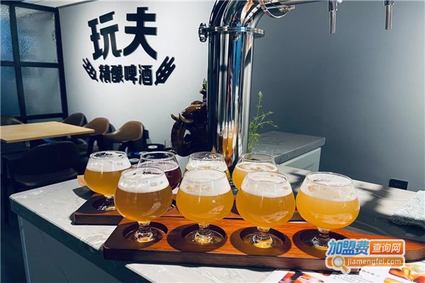 玩夫精酿啤酒加盟费