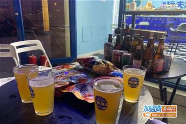 玩夫精酿啤酒加盟费
