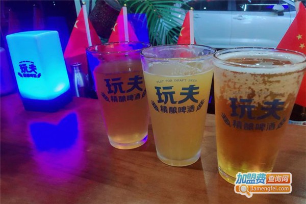 玩夫精酿啤酒加盟费