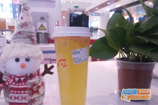 三只雪人加盟费
