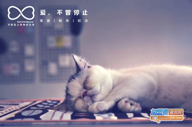 宠物殡仪馆加盟