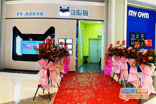 洗脸猫洗脸吧加盟