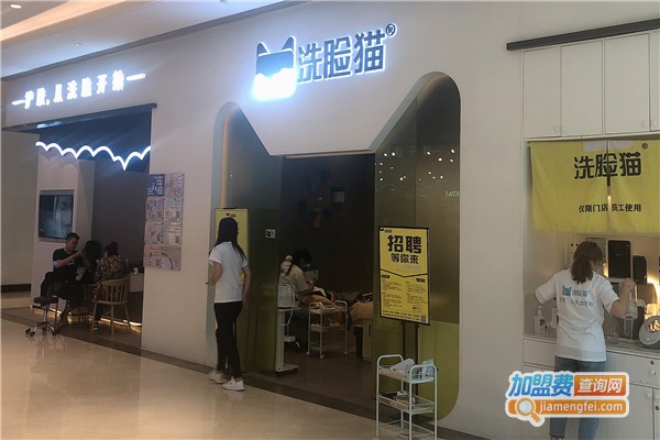 洗脸猫洗脸吧加盟