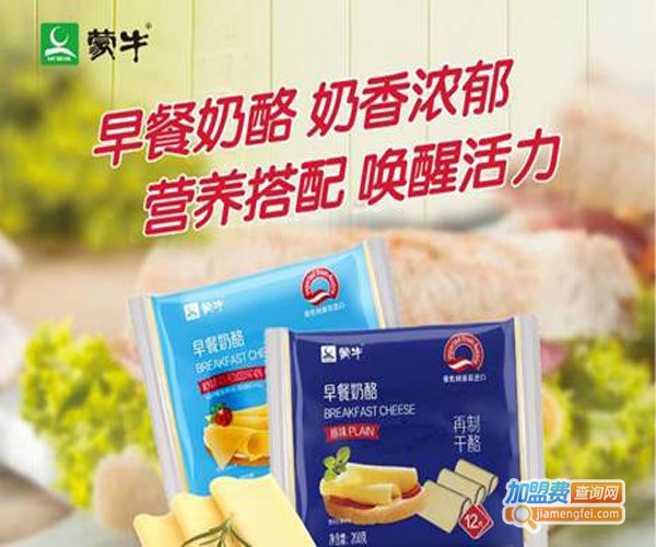 蒙牛牛奶代理加盟