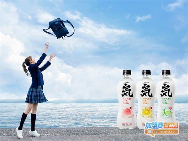 元气森林加盟费