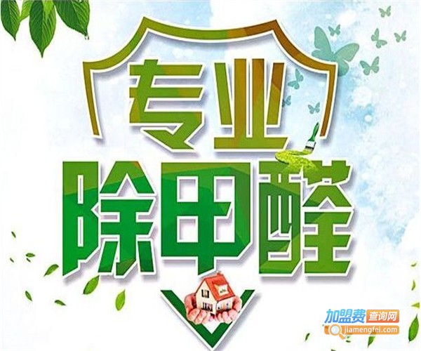 专业除甲醛加盟