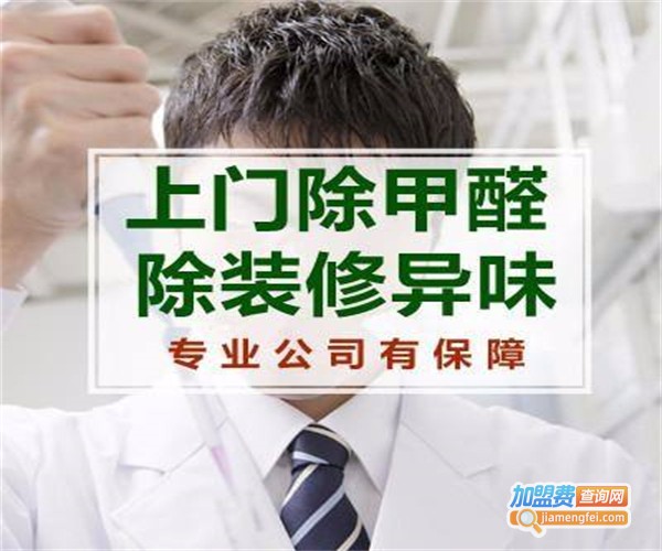 专业除甲醛加盟