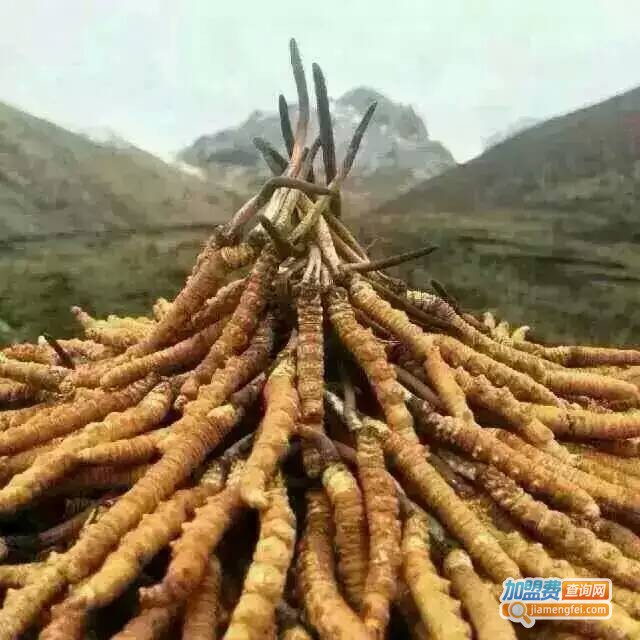 种植业加盟