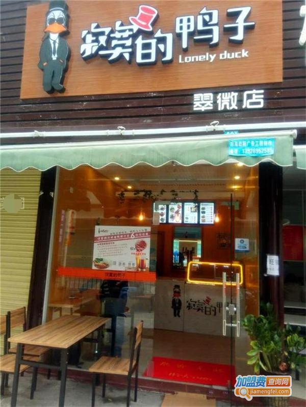 寂寞的鸭子加盟