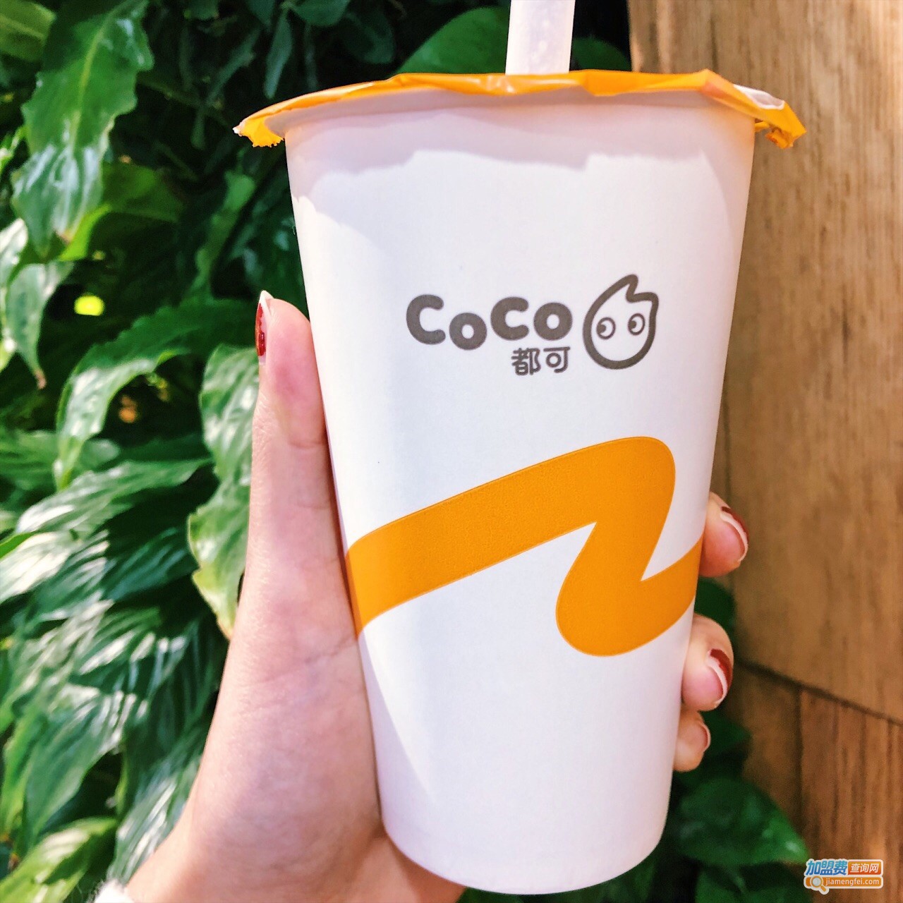 coco都可茶饮加盟