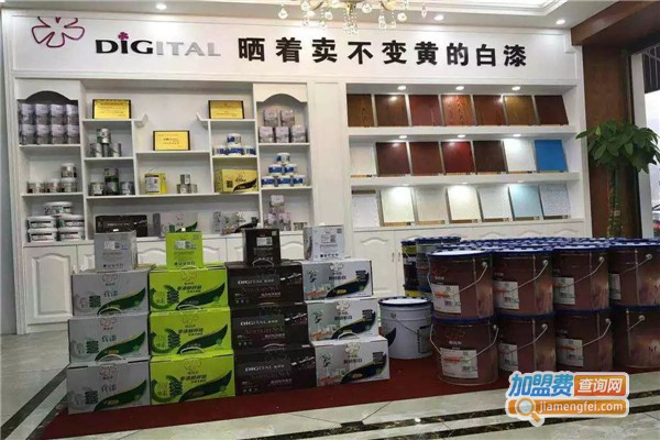 数码彩加盟费