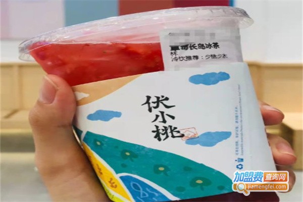 伏小桃加盟费