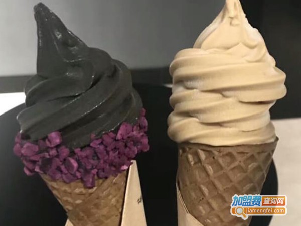 百纯冰淇淋加盟