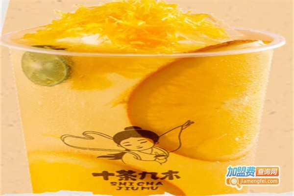 十茶九木加盟费