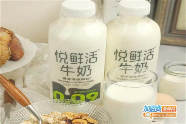 悦鲜活牛奶加盟