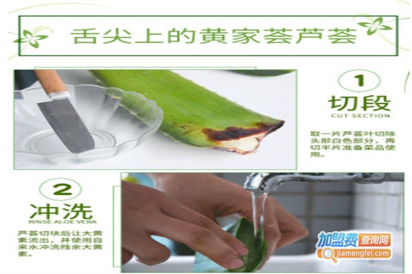 黄家荟芦荟加盟费