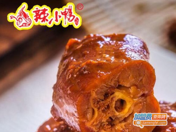 辣小鸭加盟费